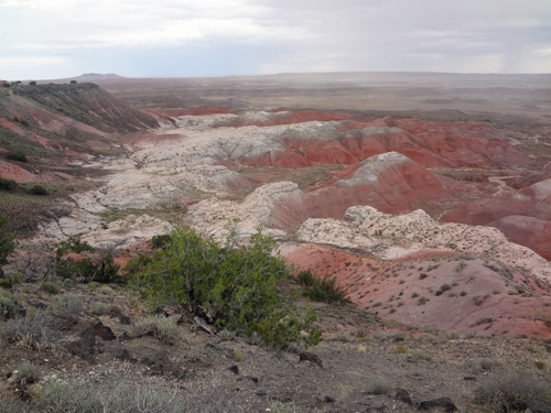 Park Road in the Painted Desert